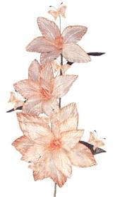 Lg Flowers with Butterflies